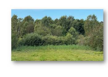 Syndyk sprzeda udziały w nieruchomości w miejscowości Strzelno - 30% ceny