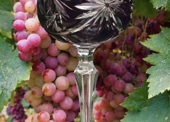 Josephinenhutte*Huta Józefina * kolekcjonerski kielich remer