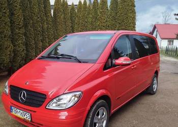 Mercedes Vianio