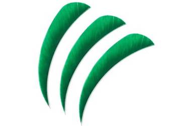 Lotki Poe Lang 4" zielone - 3 szt. (B30061B-F)