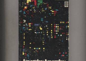 Ameryko! Ameryko! - Danuta Mostwin