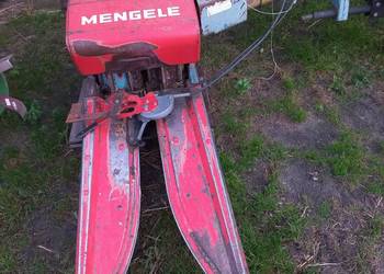 Mengele