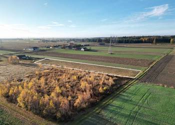 Działka przy lesie 26 arów – Płoskie, 5 km od Zamościa