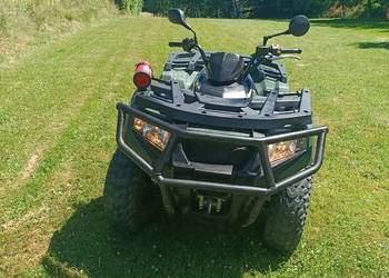 Arctic Cat Alterra 450