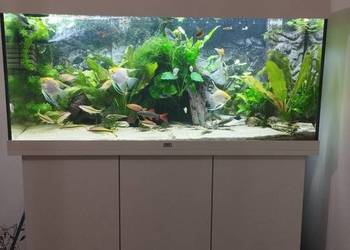 Akwarium juwel Rio 180 200 litrów