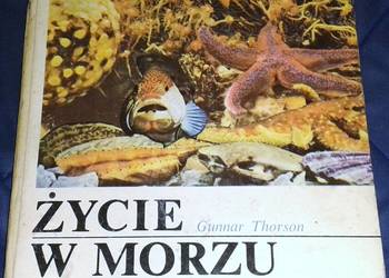 Życie w morzu - Gunnar Thorson