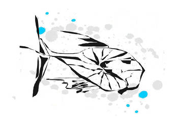 RYBA 1004