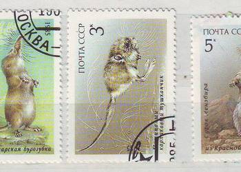 Zn. ZSRR  Mi 5537 - 9 kas 1985