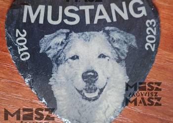 Tabliczka pamiątkowa dla zwierzaka z fotograwerem #MiszMówiszMasz