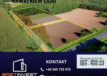 Duża działka budowlana z własnym lasem - 7012 m2