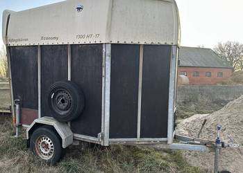 Przyczepa do przewozu koni