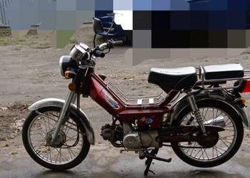 Motorower Shinrey XY50Q-2E