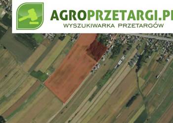 Dzierżawa 21,75 ha gruntu rolnego