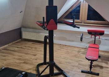 Duży stacjonarny drążek do podciągania i DIP