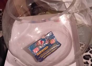 AKWARIUM  K U L A  !