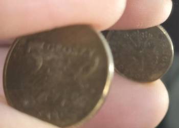 5 gr. 1993r. Odwrotka