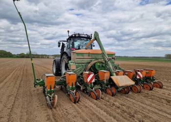 Siewnik kukurydzy słonecznika Amazone ED 602-K talerzowy 8 rzędów