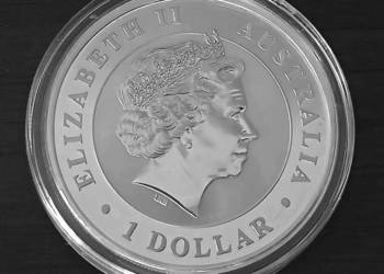 Srebrna Moneta Koala 2013 | 1 oz Ag 999