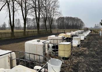 Budki dla cieląt kompletne