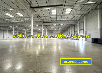 Magazyny do wynajęcia łódzkie Piotrków Trybunalski przy A1 - PROWIZJA 0%