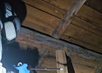 Usuwanie drewnojadów leczenie drewna, więźby dachu impregnacja / żelowanie