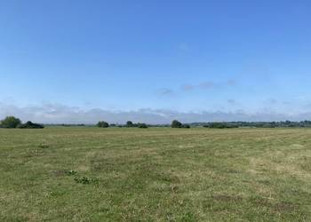 Na sprzedaż 5 działek / łąki zalewowe nad rzeką Narew.