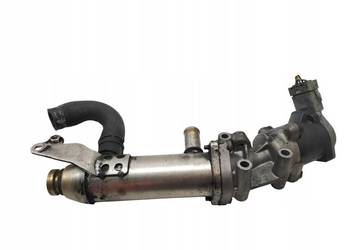 CHŁODNICA SPALIN 4U3Q-9Y493-AK 2.7 HDI Peugeot 607 I (1999-2010)