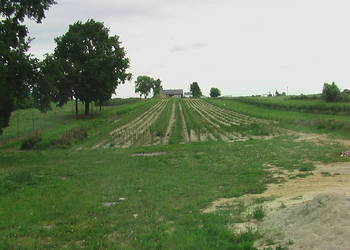 Sprzedam działkę 30a