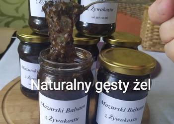 Mazurski Balsam z Żywokostu
