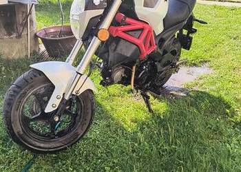 Romet Pony Monster 72/50 – doinwestowany, zarejestrowany na AM.