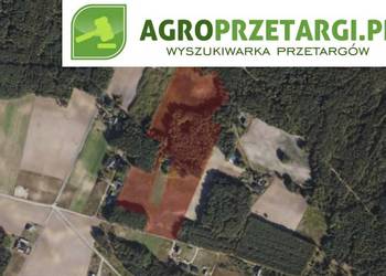 Dzierżawa 6,26 ha gruntu rolnego