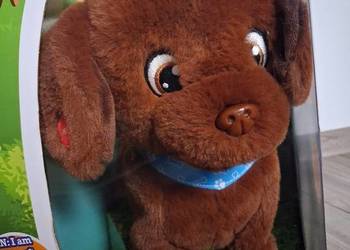 Piesek interaktywny.