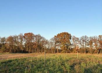 Działka Budowlana 821 m2 , Na Granicy Wrocławia , Bezpośrednio