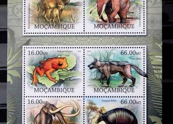 Mozambik ( fauna ameryki)