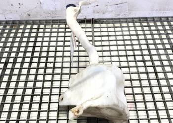 ZBIORNIK SPRYSKIWACZY FIAT LINEA Sedan/Limuzyna 1.4 77KM 55702892