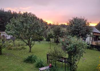 Działka ROD z domkiem 2025 – Aleksandrów Kujawski