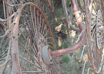 Słoneczko przewracarka Słoneczko przewracarka