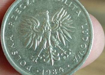 Sprzedam monete 10 zloty 1984 rok