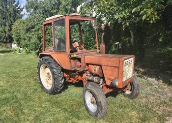Wladymirec T25 Władek ruski