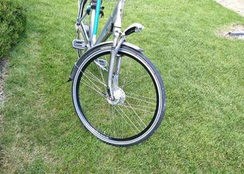 Rower Gazelle