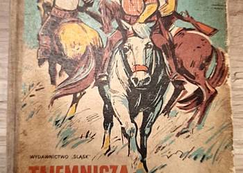 Tajemnicza wyprawa Tomka - A Szklarski