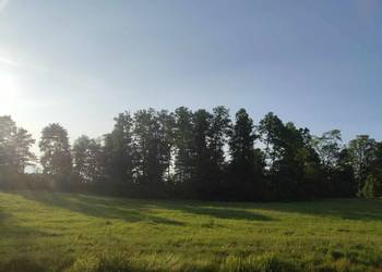 Dzialka nad jeziorem z dostepem do wody Dzialka nad jeziorem z dostepem do wody