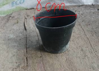 Doniczki na rozsadę , sadzonki , kwiatki