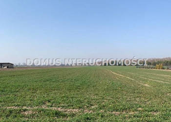 Ogłoszenie działka Złotniki 1577m2