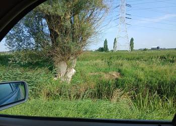 Sprzedam działkę 9971m..w Gdańsku ul.Zulawska Orunia  obok obwodnicy