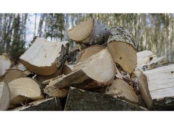 Rębak tnąco-rozłupujący WOODPECKER RP-300 Remet CNC 2026