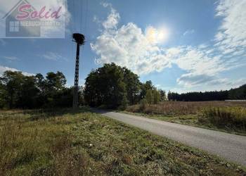 Piękna działka z warunkami zabudowy idealna pod zabudowę i inwestycję! Piękna działka z warunkami zabudowy idealna pod zabudowę i inwestycję!