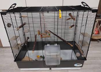 Duża klatka dla ptaków