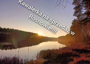 Kawalerka Rosnowo!!!