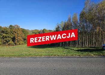 Działka w Turzy 34 ar rolno-budowlana Działka w Turzy 34 ar rolno-budowlana